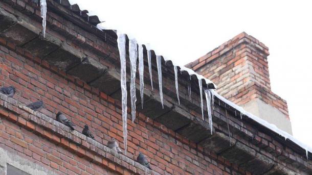 В Новосибирске очистили от снега 90% крыш школ и детсадов