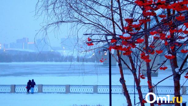 МЧС бьёт тревогу: на Новосибирскую область надвигаются -40°C градусные морозы