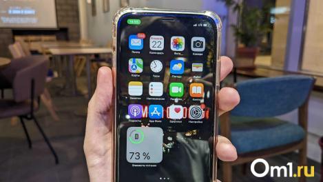 Мошенники используют чаты подъезда для сбора персональных данных омичей