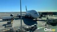 Визы в Египет подорожали для туристов из России