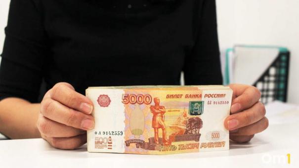 Только 4% омичей отчитались о своих доходах перед налоговой