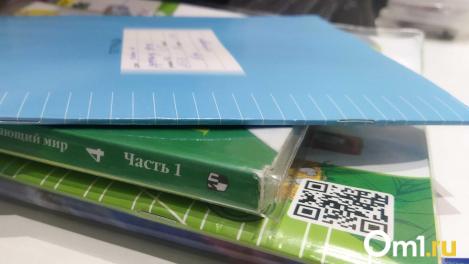 Дети в омских школах учили иностранный язык без пособий