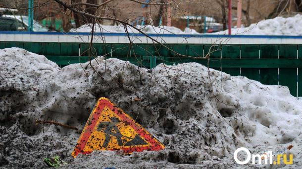 В Омской области тщательно убирают дороги от снега