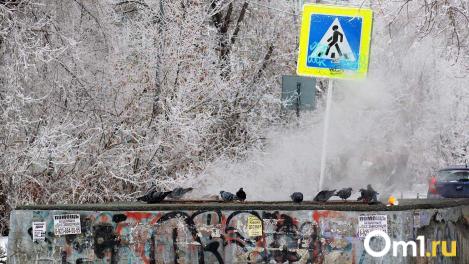 Аномальные морозы задержатся в Омске: когда наконец станет тепло