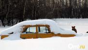 Когда в Омской области отступят арктические морозы