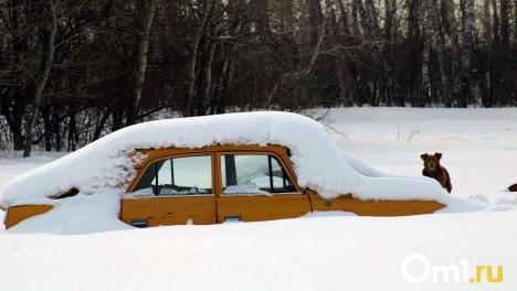 Когда в Омской области отступят арктические морозы