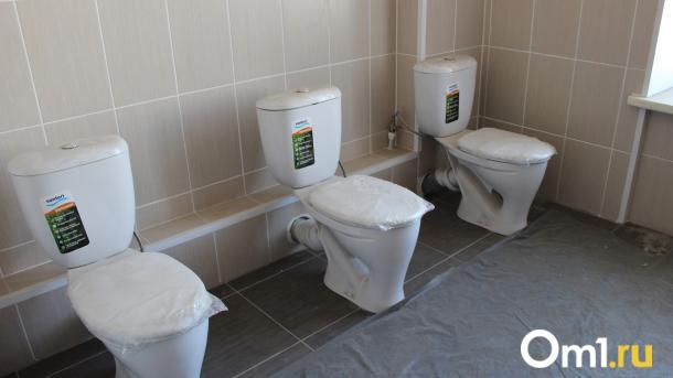 В Омске на аукцион выставили частное канализационное сооружение на улице Перова