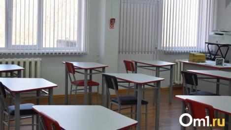 Под Новосибирском появится крупнейшая школа искусств в регионе