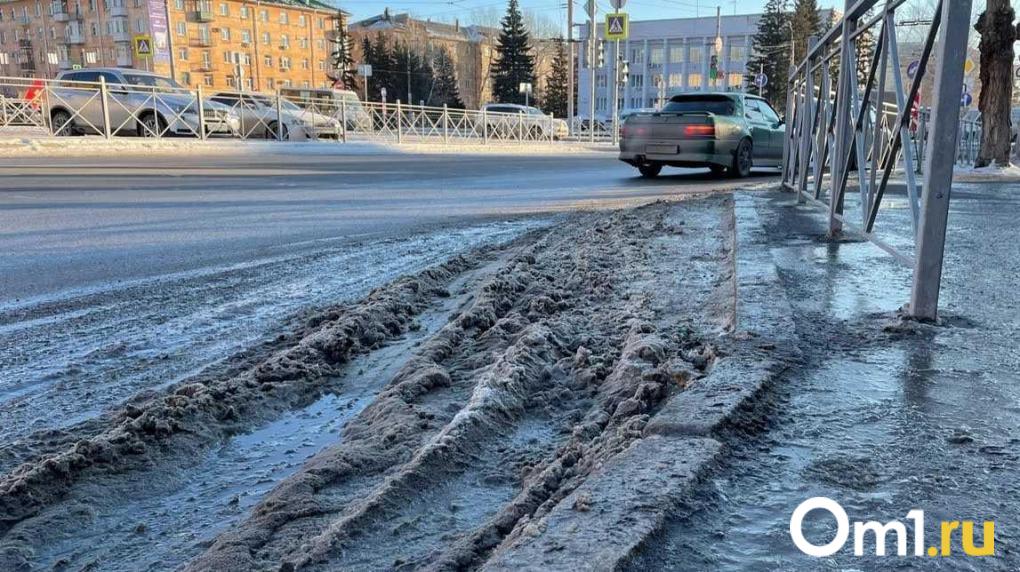 Омичам рассказали, как получить компенсацию за травмы от гололёда