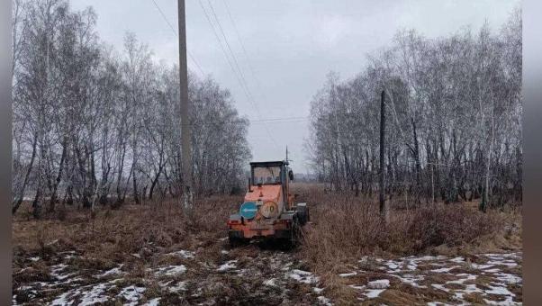 Омск окружат защитными полосами за 4 миллиона
