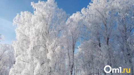 В Новосибирской области на выходных ударят экстремальные морозы