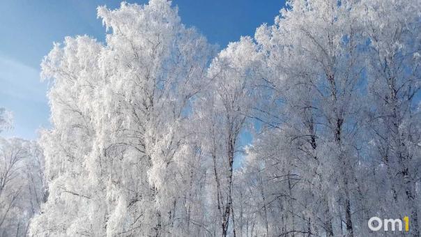 В Новосибирской области на выходных ударят экстремальные морозы