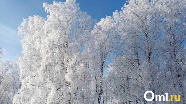 В Новосибирской области на выходных ударят экстремальные морозы