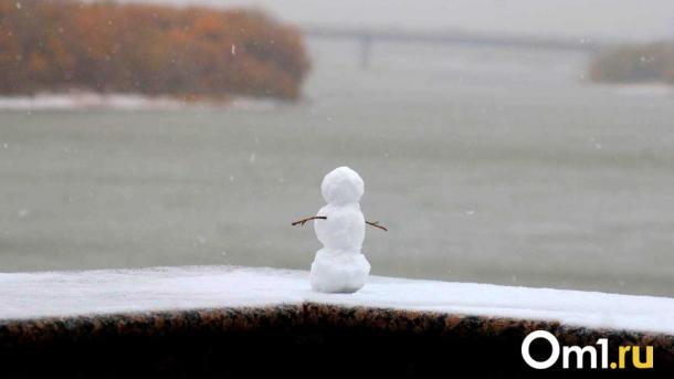 В Омск после жёстких морозов в феврале придёт резкая оттепель