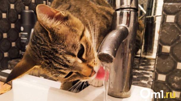 За порыв водопровода в Марьяновке наказали начальника участка