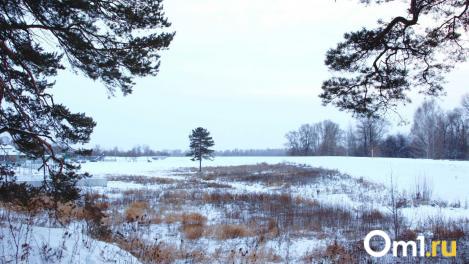 В Омске направят 44,2 млн рублей на проекты ликвидации «Мыльного озера» и «Лагуны»