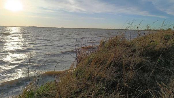 На водоемах Новосибирской области погибли 45 человек за 2025 год