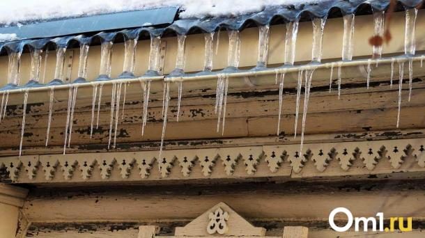 Скорость до 130 км/ч: омичей предупредили об опасности над головой