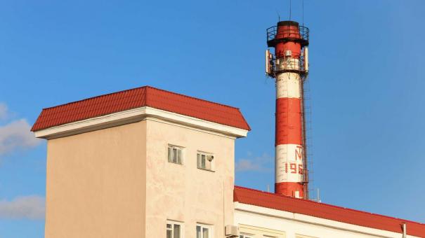 В Новосибирске появится завод по производству биодобавок