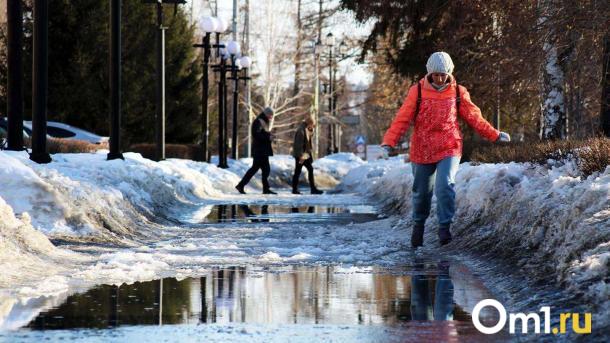Дождались: в Омске на неделе потеплеет до -1°