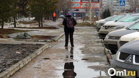 Весна будет суровой: в Гидрометцентре дали грустный прогноз на март в Омской области