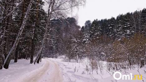 В дачном посёлке под Омском выставили на продажу глэмпинг: цена снижена на 4,2 миллиона