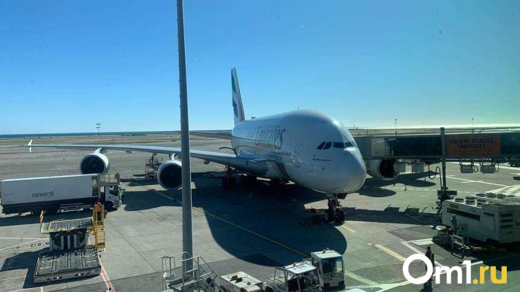 Рейсы из ОАЭ начали прибывать в Россию: омичи всё ещё остаются в Дубае
