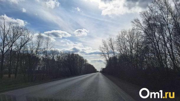 Водителя из Калачинска приговорили к 8 годам за смертельное ДТП