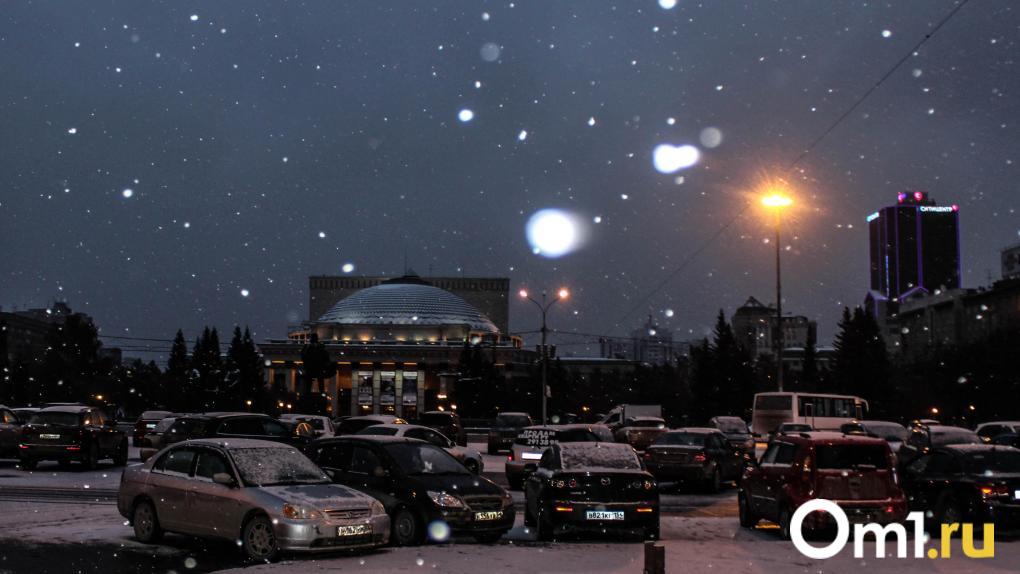 От Мьянмы до Армении: какие иностранные партнёры собрались в правительстве Новосибирской области