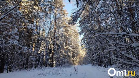 В Новосибирской области сообщили дату приёма заявлений на весеннюю охоту