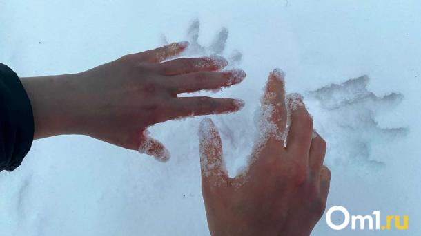Новосибирцев ждут продолжительные снегопады в начале марта