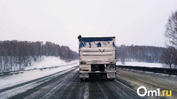 Фура съехала с трассы в кювет в Новосибирской области