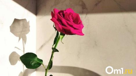 «Пахло выпечкой и мимозой»: пенсионерка вспомнила, каким был идеальный женский день в СССР