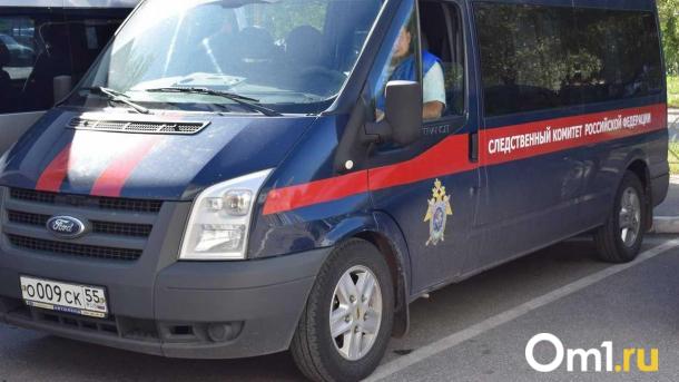 Омской сиротой, которая 15 лет ждёт квартиру, заинтересовался Бастрыкин