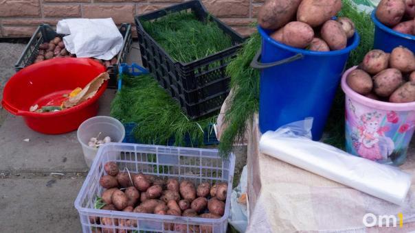 В Госдуме поддержали идею минимальной цены на картофель