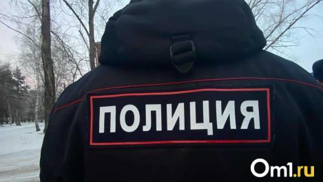 В Омской области сельчанин с ножом напал на полицейского: возбуждено уголовное дело