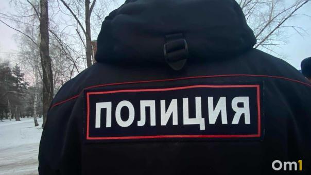 В Омской области сельчанин с ножом напал на полицейского: возбуждено уголовное дело