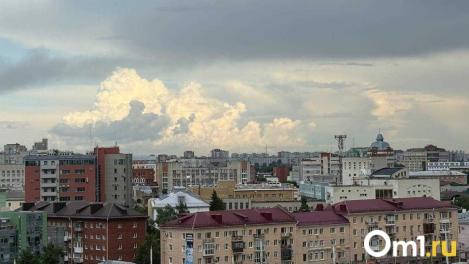 В Омске провели тренировку по отработке угрозы атаки БПЛА