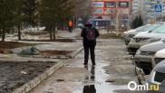 В Омской области 8 Марта ожидаются снег и метель