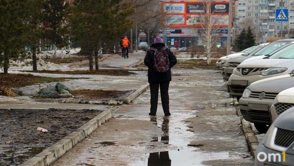 В Омской области 8 Марта ожидаются снег и метель