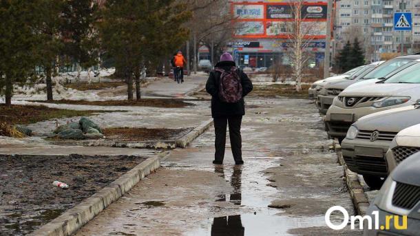 В Омской области 8 Марта ожидаются снег и метель