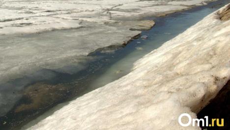 В омских реках четыре раза находили опасные концентрации марганца