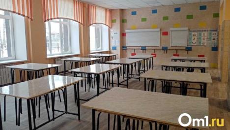 Омские школы приносят городу в 20 раз больше денег, чем кладбища