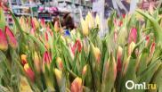 В Омске предприниматель потерял 20 тысяч тюльпанов на 1 миллион рублей из-за мошенников
