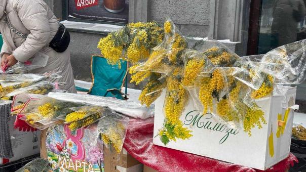 Новосибирск заиграл жёлтыми красками: в городе начали продавать мимозу