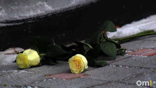 Новосибирцы отметят 113-летие со дня рождения Александра Покрышкина