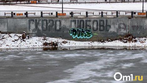 Последняя волна: после длинных выходных в Омской области ударят морозы до -31