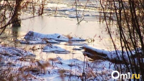 В Омской области обнаружено высокое содержание марганца в четырёх реках