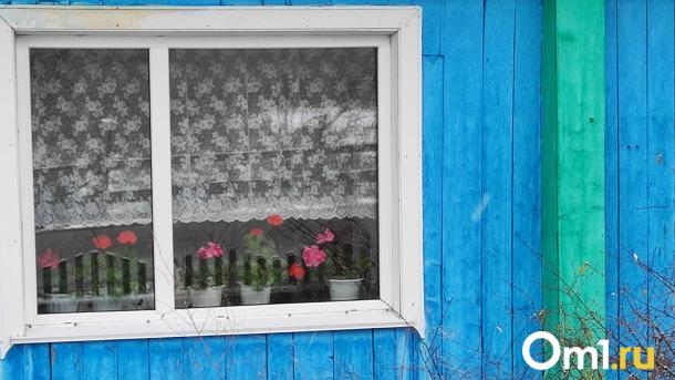 В Омске за 15 миллионов продаётся дом-гигант в Нефтяниках