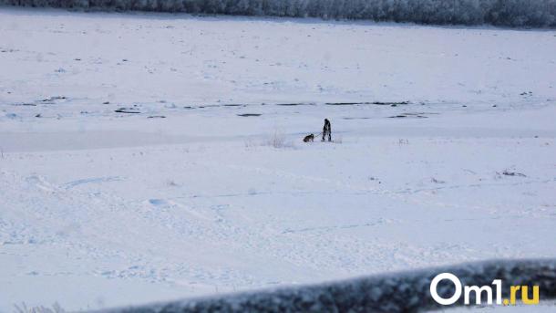 На Омск на длинных выходных обрушится снегопад и метель
